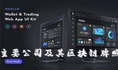 全球主要公司及其区块链牌照概览