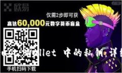 如何安全导出 Trust Wallet 中的私钥：详细步骤与注