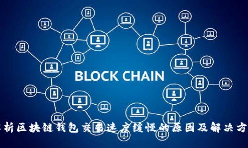 解析区块链钱包交易速度缓慢的原因及解决方案