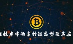 区块链技术中的多种链类型及其应用解析