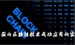 全球范围内区块链技术成功应用的实例解析