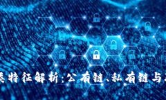 区块链的多样化分类特征解析：公有链、私有链