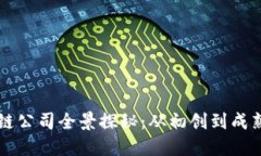 泸州市区块链公司全景探秘：从初创到成熟的企