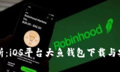 全面解析：iOS平台大鱼钱包下载与安装指南
