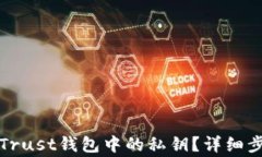 如何安全导出Trust钱包中的私钥？详细步骤与注意