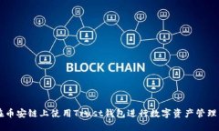 如何在币安链上使用Trust钱包进行数字资产管理与