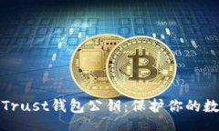 xiaoguo如何安全管理Trust钱包公钥：保护你的数字
