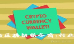 bir探索新加坡的区块链服务商：行业领先者与创