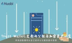 Trust Wallet：支持的公链与加密资产一览