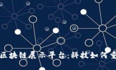 探索上海的区块链展示平台：科技如何重塑现代