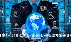 解密Trust资金冻结：原因、影响及应对策略详解