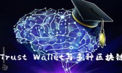 一文看懂：如何将Trust Wallet与多种区块链和DApp无