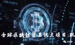 全面剖析全球区块链贸易试点项目：现状与前景