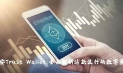 深入探索币安Trust Wallet：全面解析这款流行的数