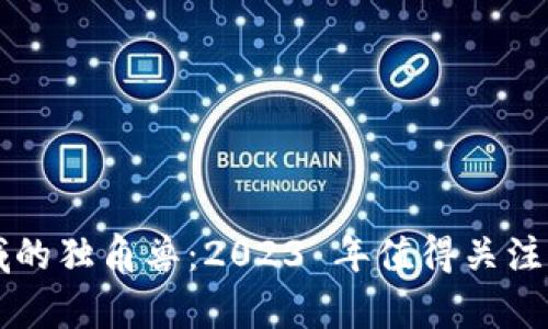 区块链领域的独角兽：2023 年值得关注的股票分析