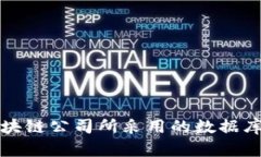 深入探讨区块链公司所采用的数据库技术与架构