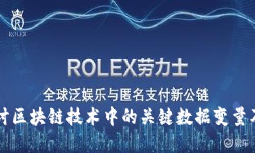 深入探讨区块链技术中的关键数据变量及其应用