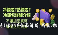 2018年波场币（TRON）全面解析：成就、挑战与未来