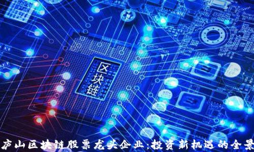 
揭秘庐山区块链股票龙头企业：投资新机遇的全景解析