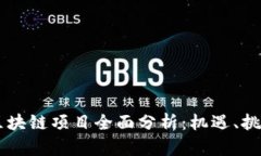 2023年POC区块链项目全面分析：机遇、挑战与发展