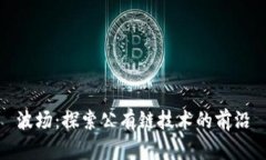 波场：探索公有链技术的前沿