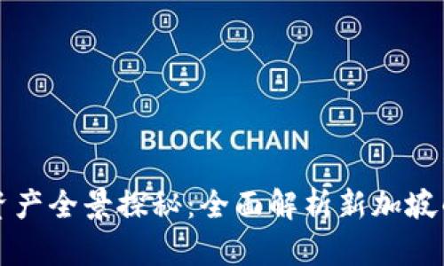 新加坡区块链资产全景探秘：全面解析新加坡的数字资产生态