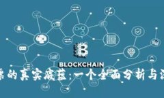 波场投票的真实底蕴：一个全面分析与深度探讨