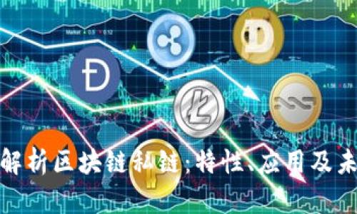 : 全面解析区块链私链：特性、应用及未来前景