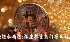   全解区块链私有链：深度探索热门项目及应用场