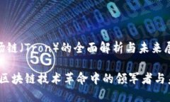 对于波场链（Tron）的全面解析与未来展望波场链