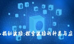 : 深入揭秘波场：探索波场的种类与应用潜力