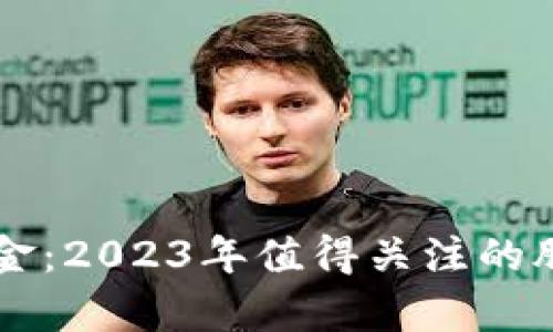 区块链与黄金：2023年值得关注的股票板块分析