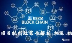 深圳市区块链项目扶持政策全解析：机遇、挑战