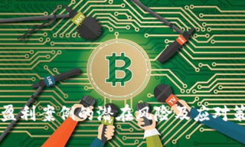 区块链盈利案例的潜在风险及应对策略分析