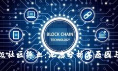 波场币超级社区终止：深度分析其原因与未来影