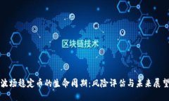 波场稳定币的生命周期：风险评估与未来展望