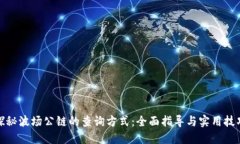 探秘波场公链的查询方式：全面指导与实用技巧