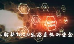 波场币融资：深入解析TRON生态系统的资金运作与