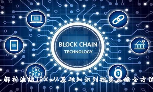  深入解析波场TRX：从基础知识到投资策略全方位指南