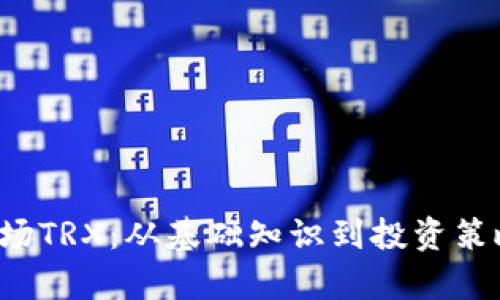  深入解析波场TRX：从基础知识到投资策略全方位指南