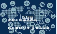 波场公链骗局揭秘揭秘波场公链：真相与误解