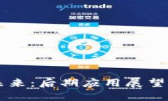 区块链技术的未来：后期应用展望与实际案例分