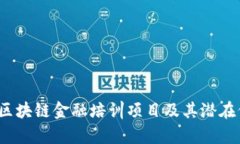 全面解析：区块链金融培训项目及其潜在价值与
