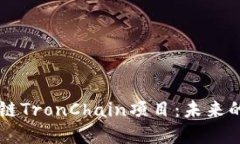 深入探讨波场链TronChain项目：未来的数字经济新