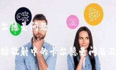 波场散射卡尔德曼问题深入探讨波场散射中的卡