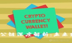 2023年主流区块链公链深度解析：未来发展趋势与