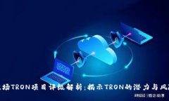 波场TRON项目评级解析：揭示TRON的潜力与风险